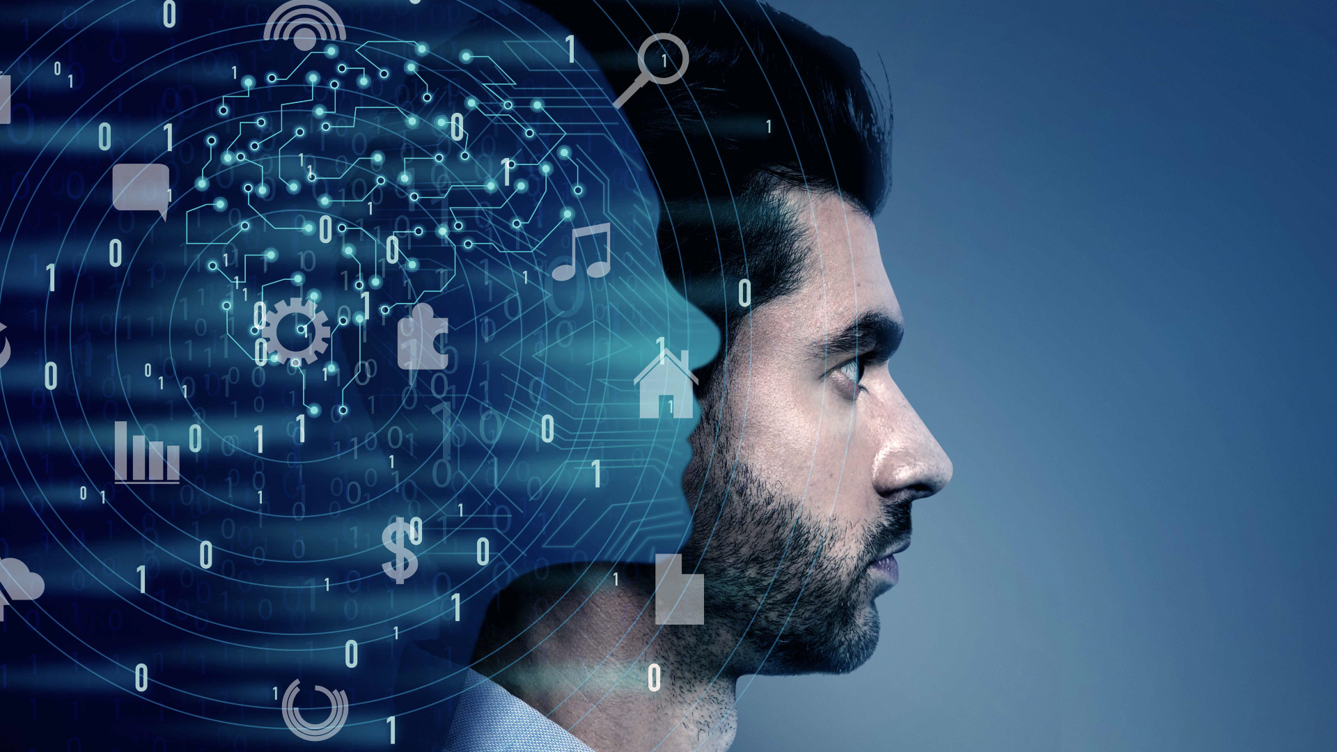 序列 01.00_00_00_09.Still002.jpg